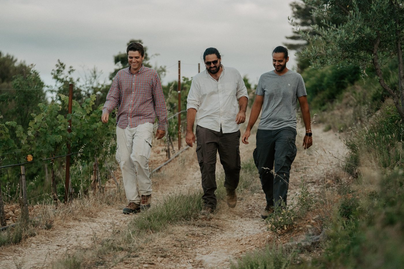 Trois hommes avancent ensemble dans le vignoble du Château des Trois Sautets.