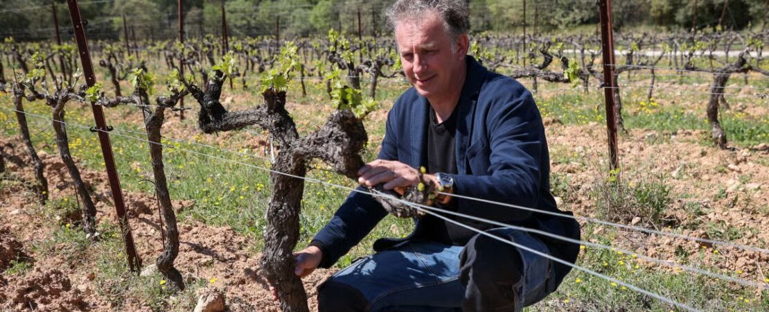 Fabrice Joyeuse, président de la Fédération des Vignerons Indépendants des Bouches-du-Rhône, au Domaine de Belambrée