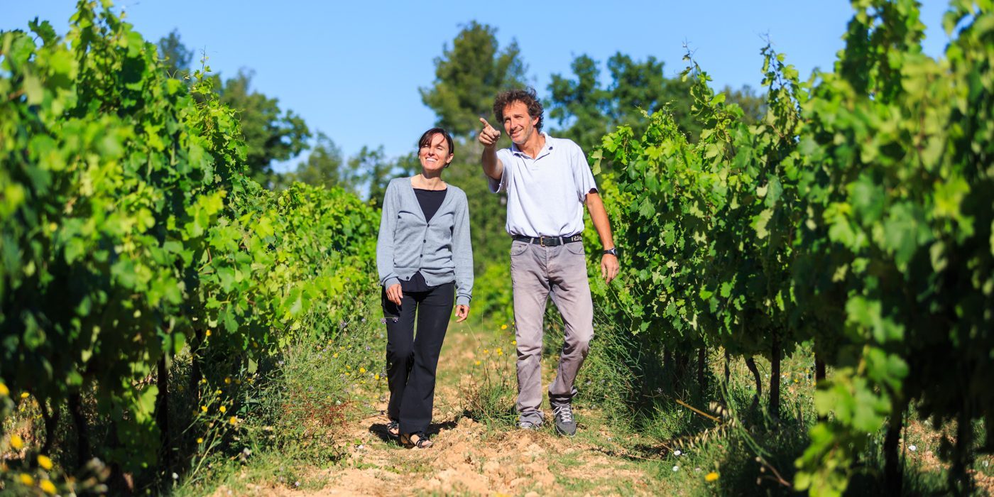 Deux personnes entre les rangs de vigne du Domaine de Bélambrée.