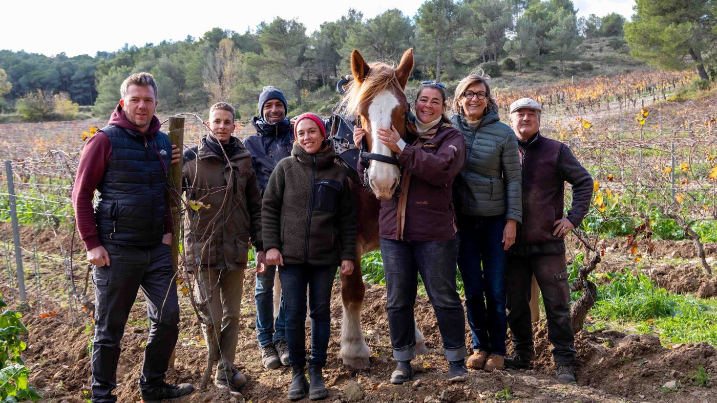 L’équipe du Domaine de Trévallon réunie dans les vignes autour d’un cheval.