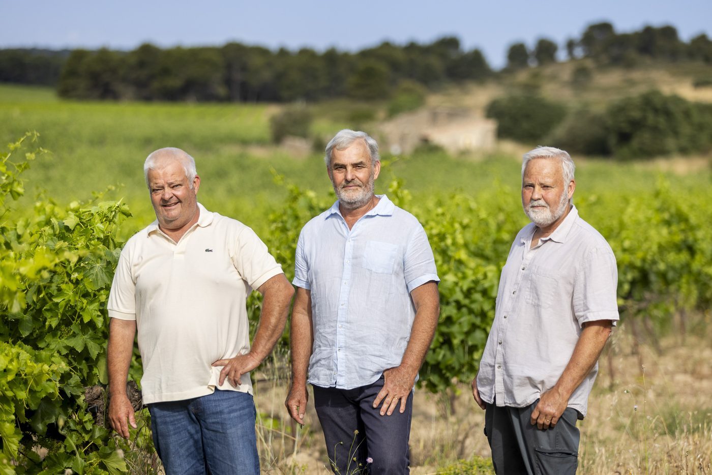 Trois vignerons du Domaine de la Cadenière réunis devant leurs vignes.